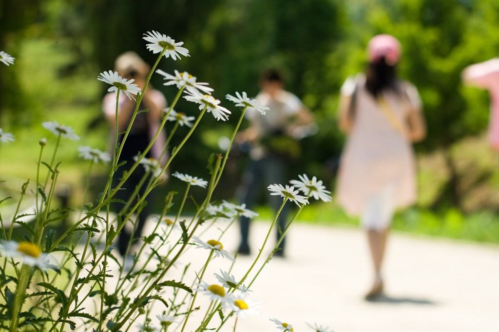walk-810247_1280.jpg